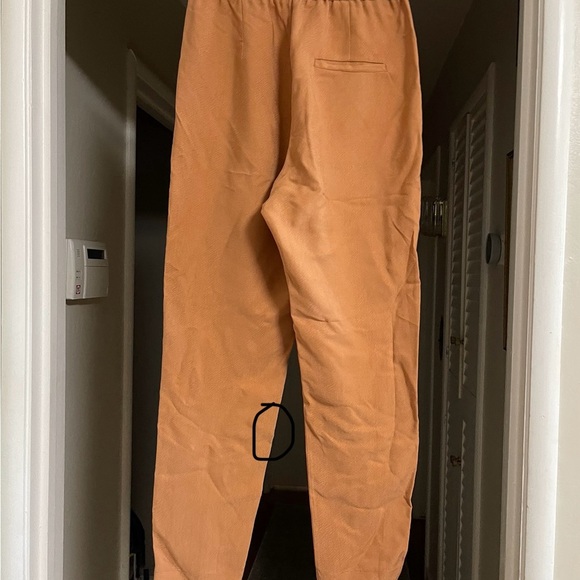 Forte Forte Salmon CUPRO Trousers - Picture 5 of 15